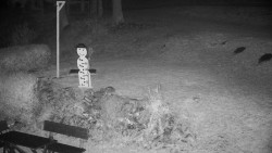 Běžecký lyžařský areál Nová Ves - horní část