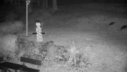 Běžecký lyžařský areál Nová Ves - horní část