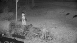 Běžecký lyžařský areál Nová Ves - horní část