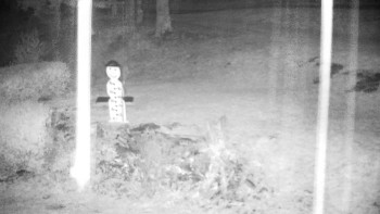 Snímek    3.11.2025 v 00:30