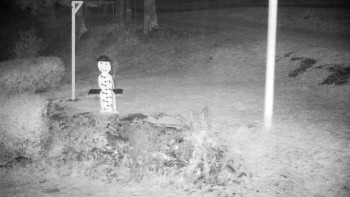 Snímek    3.11.2025 v 03:30