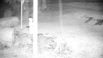 Snímek    3.11.2025 v 04:30