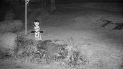 Běžecký lyžařský areál Nová Ves - horní část