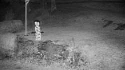 Běžecký lyžařský areál Nová Ves - horní část