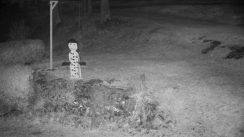 Snímek 5.11.2025 v 00:30