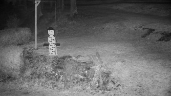 Snímek 5.11.2025 v 02:30