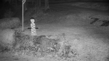 Snímek 5.11.2025 v 03:30