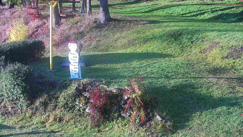 Snímek 5.11.2025 v 07:30