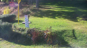 Snímek 5.11.2025 v 10:30