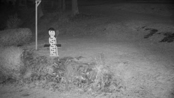 Snímek 6.11.2025 v 00:00