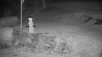 Snímek 6.11.2025 v 00:30