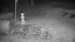 Běžecký lyžařský areál Nová Ves - horní část