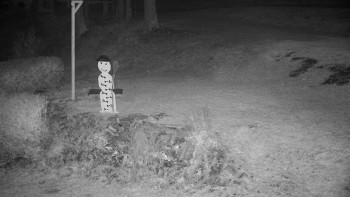 Snímek 6.11.2025 v 02:30