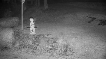 Snímek 6.11.2025 v 05:30