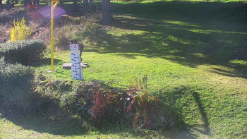 Snímek 6.11.2025 v 11:00