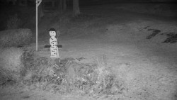 Běžecký lyžařský areál Nová Ves - horní část