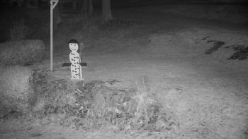 Snímek 6.11.2025 v 23:00