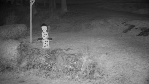 Chata Myslivna SKP Olomouc - Běžecký lyžařský areál Nová Ves - horní část - 7.11.2025 v 00:00 Chata Myslivna SKP Olomouc - Běžecký lyžařský areál Nová Ves - horní část - 7.11.2025 v 00:00