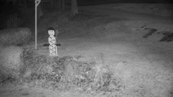 Snímek 7.11.2025 v 02:00