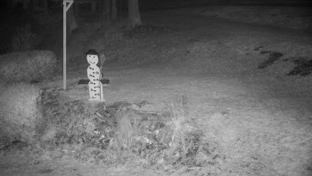 Snímek 7.11.2025 v 05:00