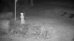 Běžecký lyžařský areál Nová Ves - horní část