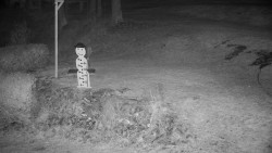 Běžecký lyžařský areál Nová Ves - horní část