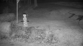 Snímek 7.11.2025 v 23:00