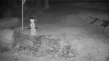 Snímek 8.11.2025 v 00:30