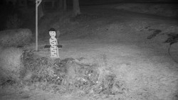 Běžecký lyžařský areál Nová Ves - horní část