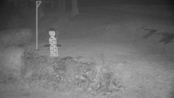 Běžecký lyžařský areál Nová Ves - horní část