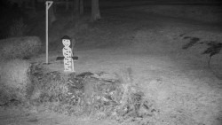 Běžecký lyžařský areál Nová Ves - horní část