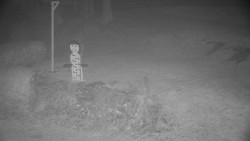 Běžecký lyžařský areál Nová Ves - horní část