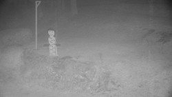 Běžecký lyžařský areál Nová Ves - horní část