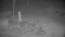 Běžecký lyžařský areál Nová Ves - horní část