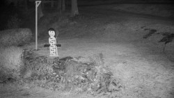 Běžecký lyžařský areál Nová Ves - horní část