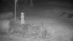 Chata Myslivna SKP Olomouc - Běžecký lyžařský areál Nová Ves - horní část - 14.11.2025 v 01:00 Chata Myslivna SKP Olomouc - Běžecký lyžařský areál Nová Ves - horní část - 14.11.2025 v 01:00