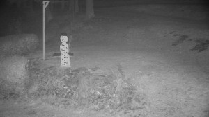 Chata Myslivna SKP Olomouc - Běžecký lyžařský areál Nová Ves - horní část - 14.11.2025 v 01:30 Chata Myslivna SKP Olomouc - Běžecký lyžařský areál Nová Ves - horní část - 14.11.2025 v 01:30