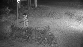 Snímek 15.11.2025 v 20:30