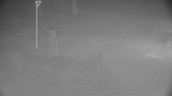 Snímek 15.11.2025 v 22:30