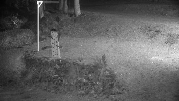 Snímek 15.11.2025 v 23:00