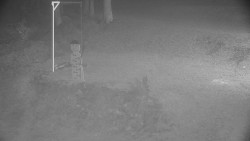 Běžecký lyžařský areál Nová Ves - horní část