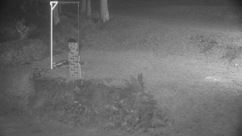 Snímek 17.11.2025 v 02:30