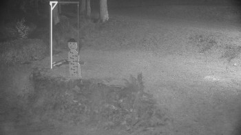 Snímek 17.11.2025 v 03:00