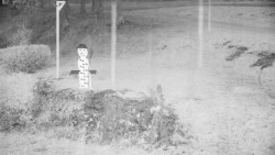 Běžecký lyžařský areál Nová Ves - horní část