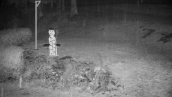 Běžecký lyžařský areál Nová Ves - horní část