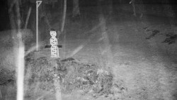 Běžecký lyžařský areál Nová Ves - horní část