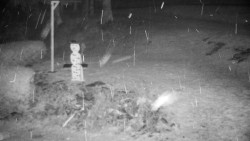 Běžecký lyžařský areál Nová Ves - horní část