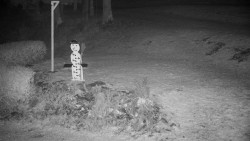 Běžecký lyžařský areál Nová Ves - horní část