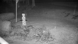 Běžecký lyžařský areál Nová Ves - horní část