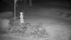 Běžecký lyžařský areál Nová Ves - horní část